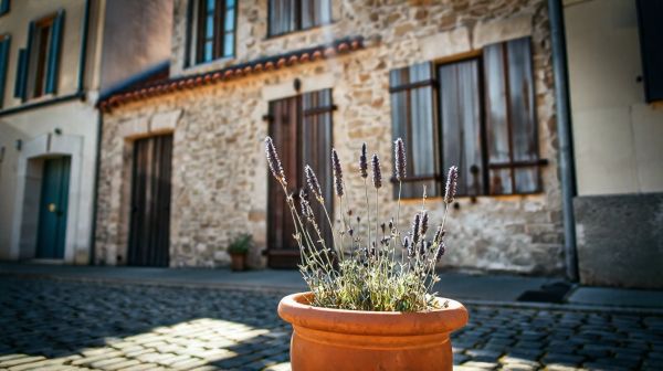 Top conseils pour choisir une assurance habitation à La Rochelle